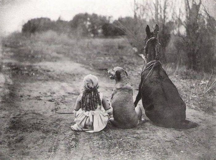 A Girl, A                                                      Dog, A Mule. From                                                      The 1921 Silent                                                      Film Through The                                                      Back Door Staring                                                      Mary Pickford.