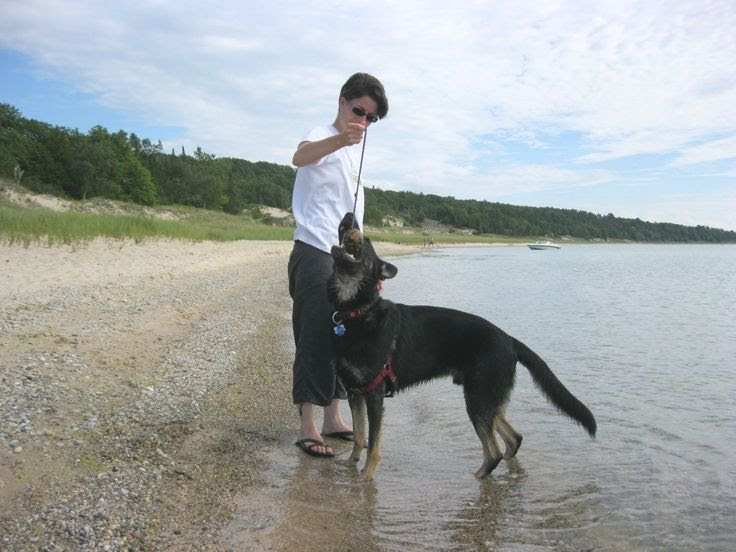Pin by Linda J. Vu on Michigan Dog friendly beach vacations, Dog