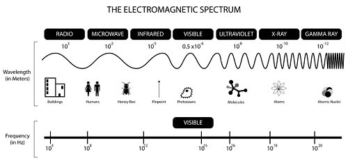 Lò vi sóng hoạt động như thế nào?