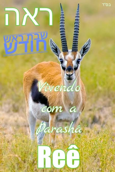Reê Reê