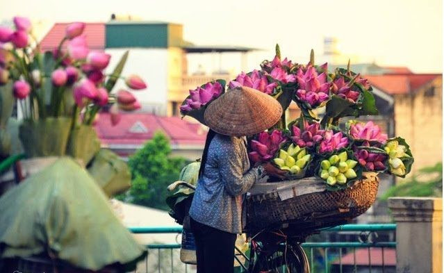 Gánh hàng rong – Nét thôn quê giữa phố phường Hà Nội – Tâm An Flowers