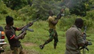 Nigeria: Muslims storm two villages, kill three people, abduct 20 others