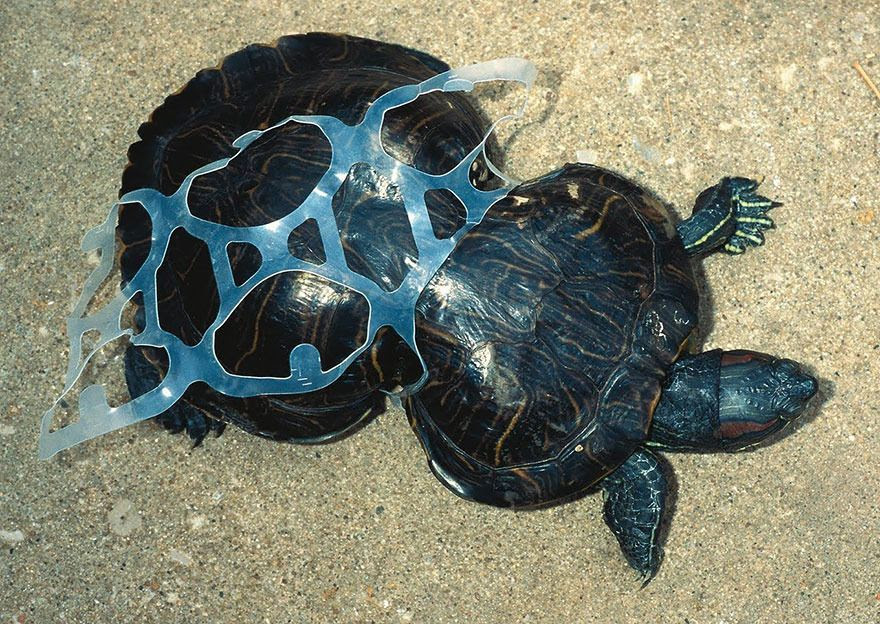 environmental-problems-pollution-35__880.
