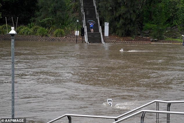 The swollen Parramatta River in Sydney\'s west following an avalanche of rain on Saturday