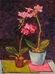 Orchid Dance. 12x16 oil on canvas board. - Posted on Friday, February 27, 2015 by Mary Sheehan Winn