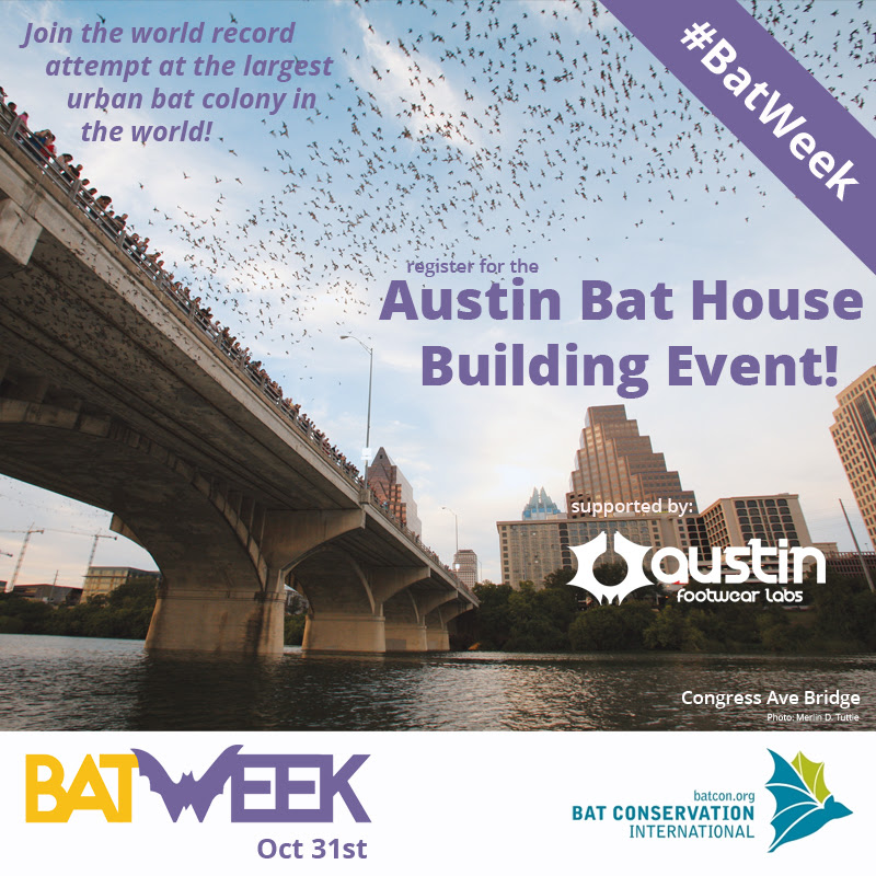There will be a bat house building event in Austin on Halloween.