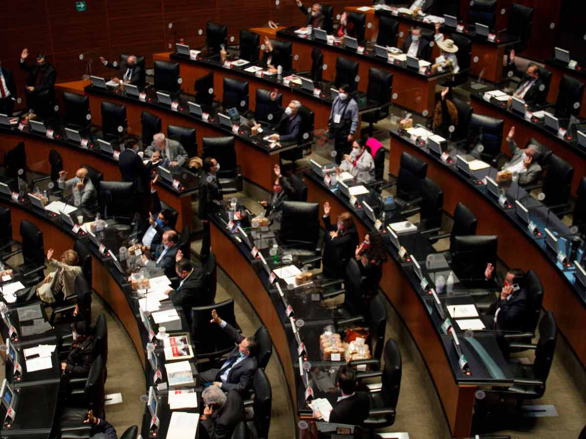 Proyecto de Ley de Fiscalía General de la República, a 'cirugía mayor' Proyecto de Ley de Fiscalía General de la República, a 'cirugía mayor'