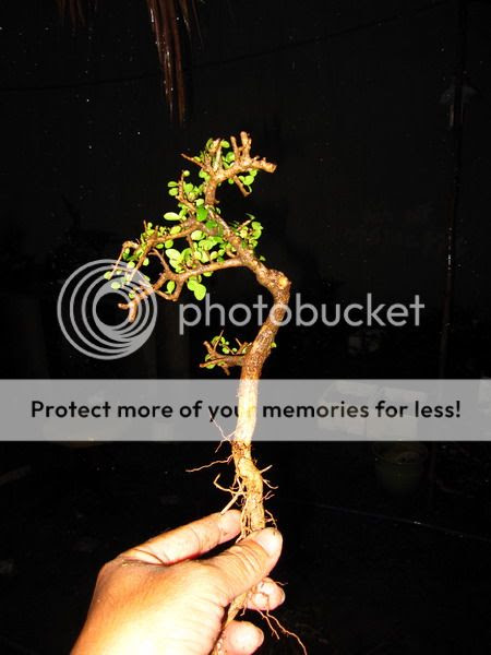 photo IMG_1880_zps2e5edcf5.jpg