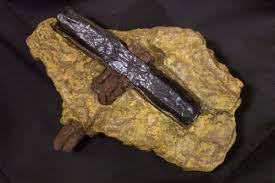 400 Million Year Old Hammer discovered In Texas - The London Hammer