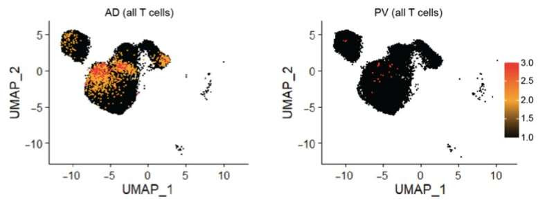 What is that rash? Genetic fingerprints can help doctors diagnose and treat skin conditions more effectively