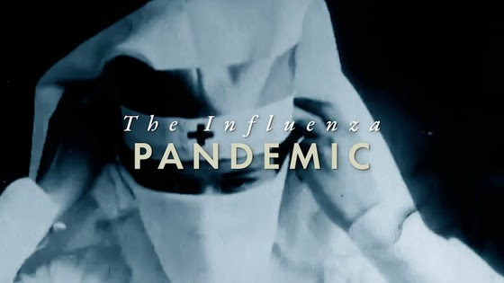 Influenza pandemic thumb