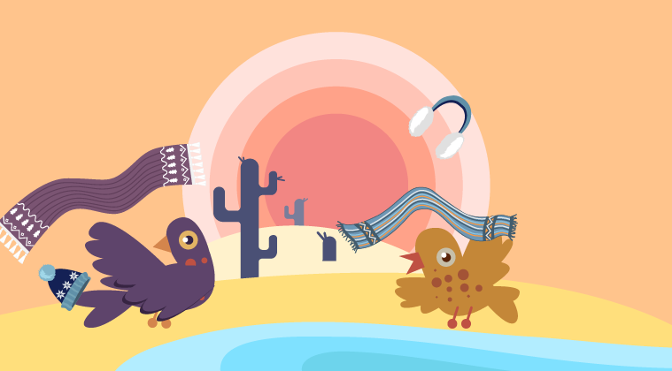 Vector pigeons throwing off gloves and scarves in the desert