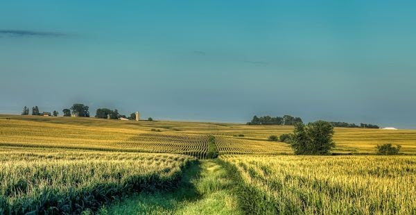 Iowa. Foto Pixabay