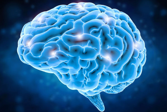 Your Ultra-Slow Brain Waves Link Directly to the State of Consciousness