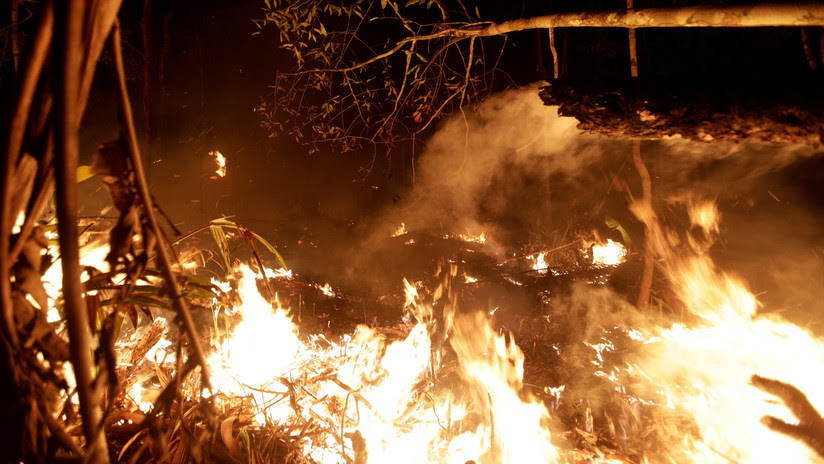 "Un verdadero apocalipsis": Un arzobispo brasileño culpa al Gobierno de los incendios en la Amazonía