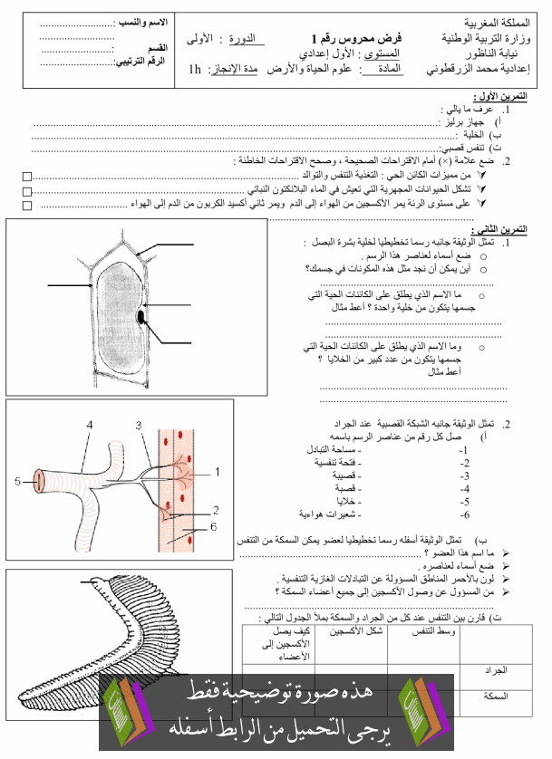 فرض في علوم الحياة والأرض (رقم 3) الدورة الأولى للأولى إعدادي مع التصحيح College-controle-sci-vie-terre3