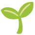 🌱