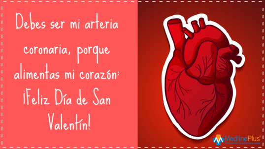 tarjeta de san valentín que dice debes ser mi arteria coronaria, porque alimentas mi corazón ¡Feliz Día de San Valentín!
