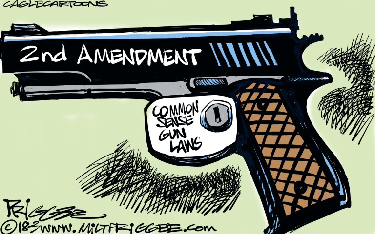 2ND AMENDMENT, GUN RIGHTS, GUN CONTROL LAWS, MASS SHOOTINGS, NRA, STUDENT PROTESTS, UNITED STATES, AMERICA