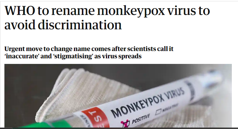 Monkeypox news clipping