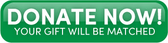 n easy to help lives : share, watch, sign, open conciouncess - Page 2 Stella_email_jul22_8-03635101154171283673