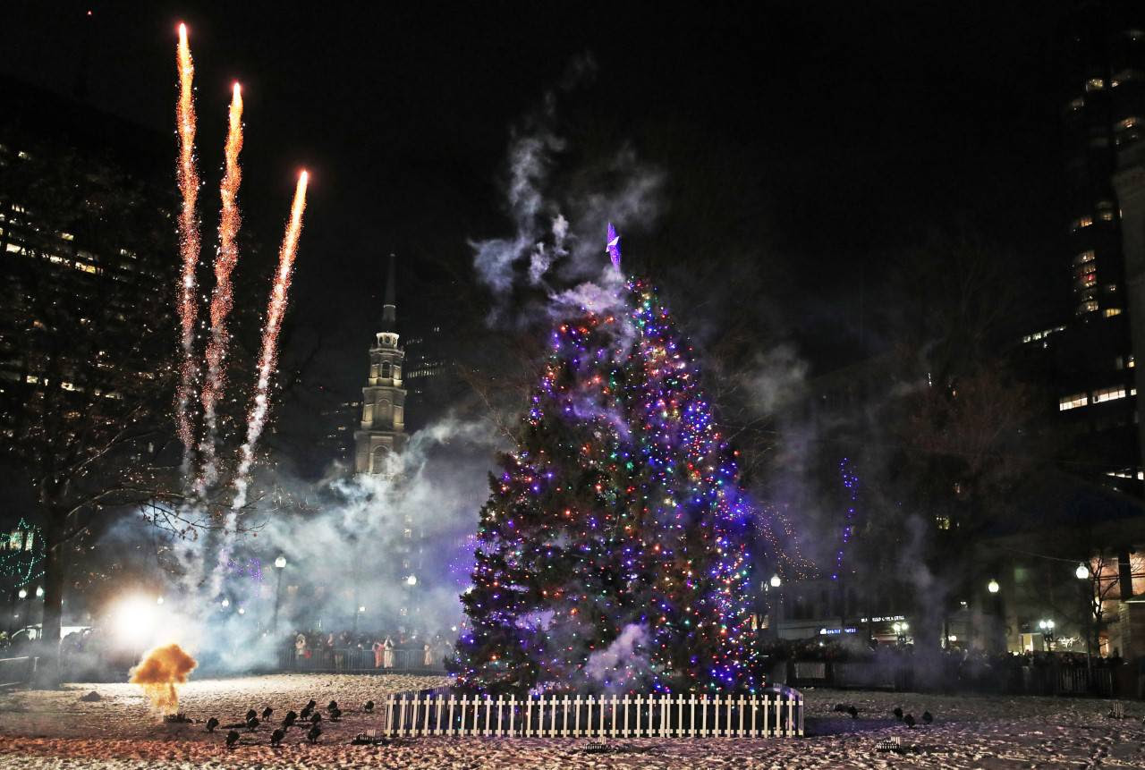 Huge Boston Christmas tree an annual gift from Nova Scotia