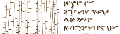 cropped-Image-1-2