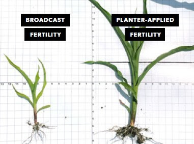 G15J91 response to planter-applied fertility at Slater, Iowa, in 2021. Source: Syngenta.
