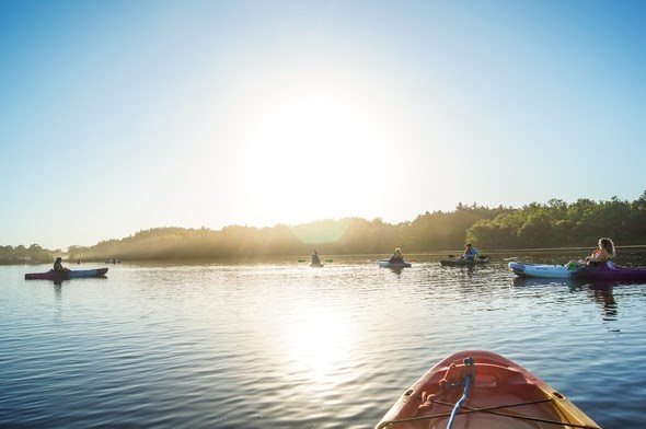 A group of seven kayaks paddle toward the setting sun on a lake in summer.