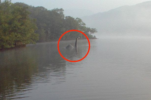 Loch Ness Monster Raises It's Head Again? Astounding Photo Captured