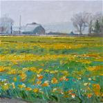 Fields of Daffodils,landscape,oil on canvas,8x8,price$250 - Posted on Thursday, February 19, 2015 by Joy Olney