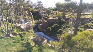 Japanese Gardens at Lake Balboa