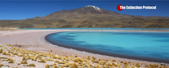 Scientists have found a massive dome growing on top of the world’s largest active magma store Andes-v