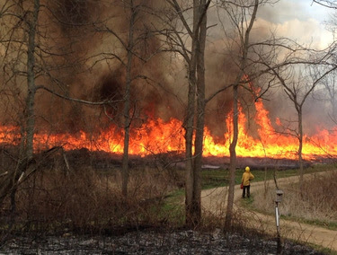 April 18 2015 Rx fire near Orland - Chari Knoblauch in photo 5