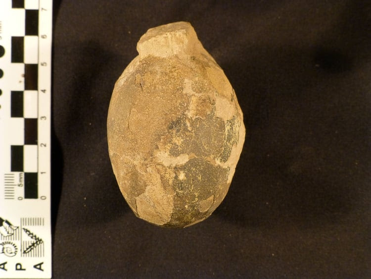 Fragmento de la cáscara de huevo encontrado por el paleontólogo Diego Pol y su equipo en Santa Cruz (Diego Pol)
