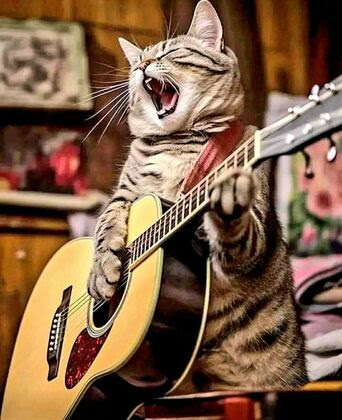 Cat-Saturday-Music