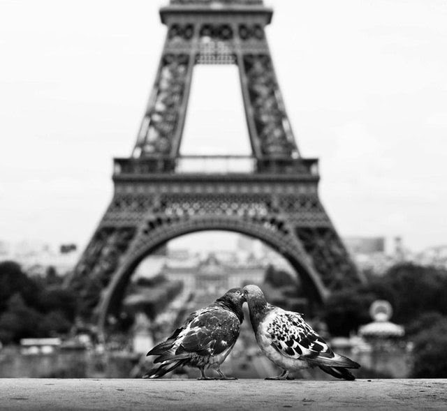 Paris – thành phố của tình yêu.