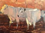 Evening cows - Posted on Sunday, February 22, 2015 by Patty Voje