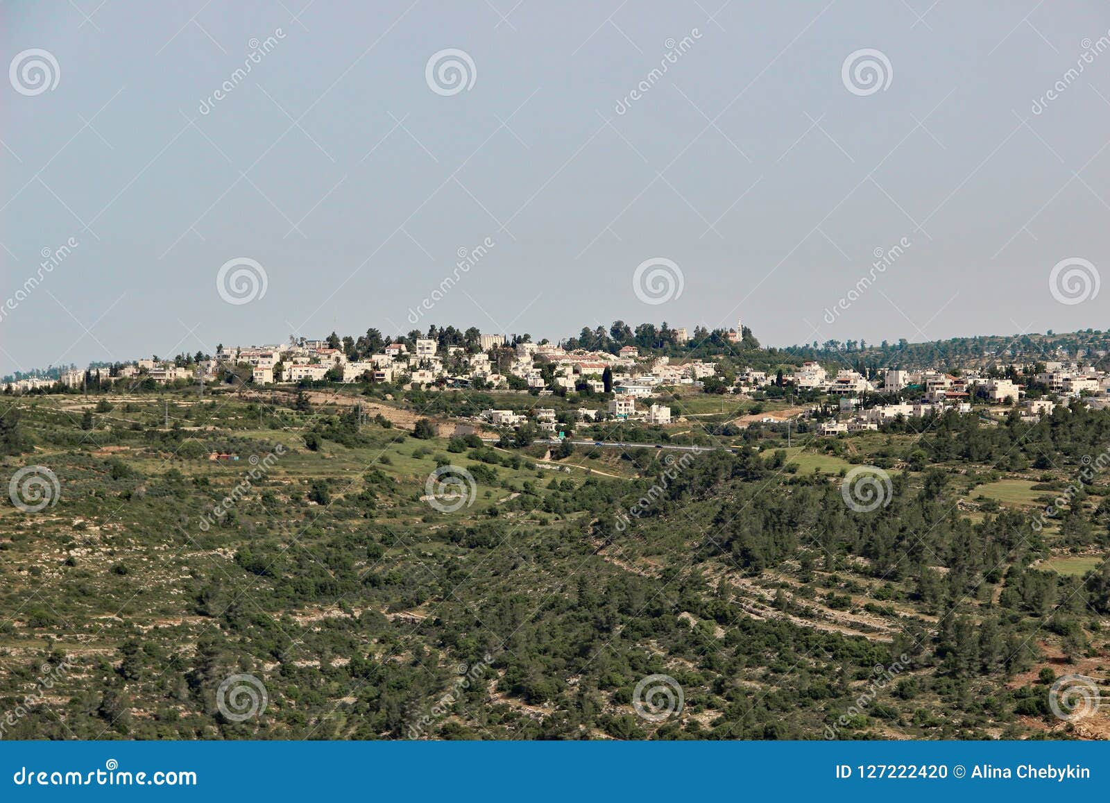 Green mountains with settlements near Jerusalem, Israel