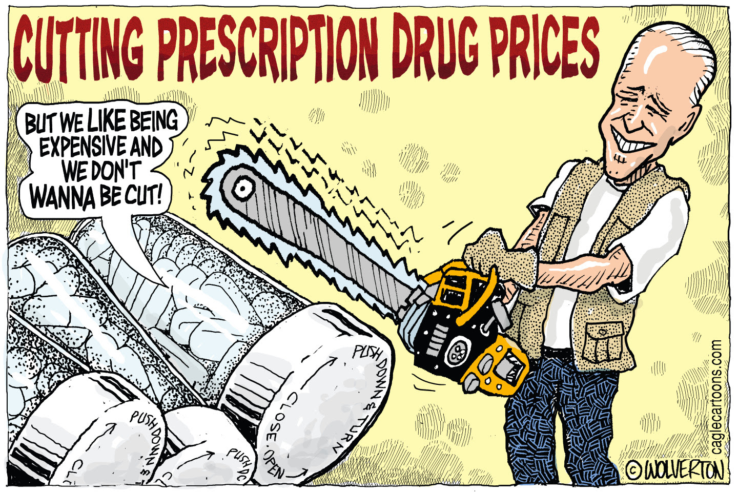 President Biden proposes cutting the price of prescription drugs.