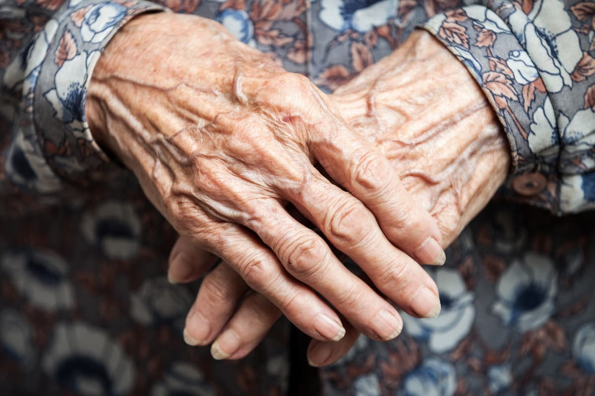 Scientists have developed an oscillating genetic 'clock' that significantly slows down the aging process in tests in yeast cells