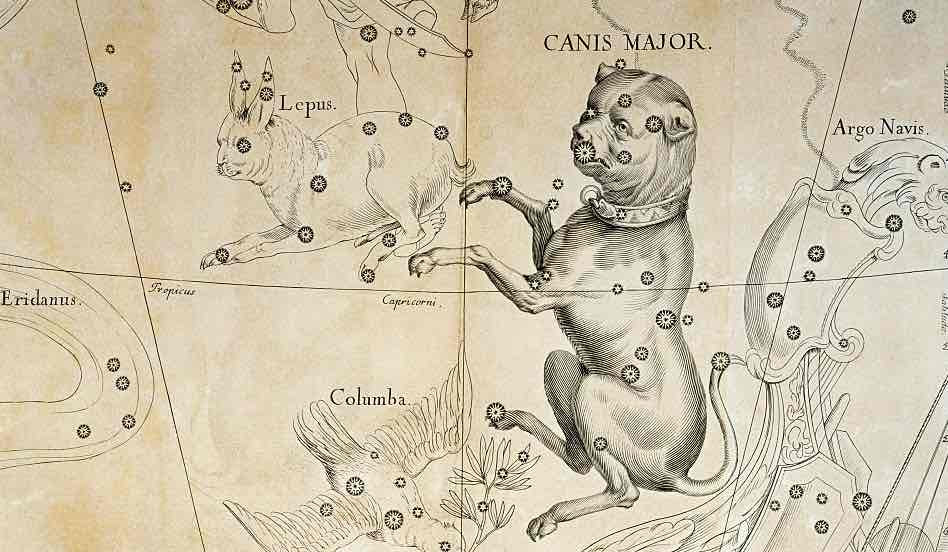 an old illustration of Canis Major.