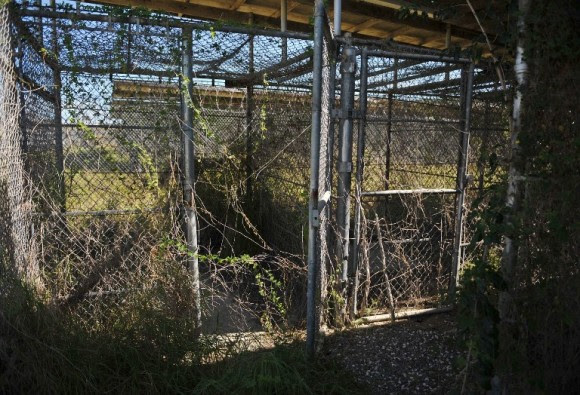 Una imagen del Campo X-Ry de Guantánamo, en el 2014.