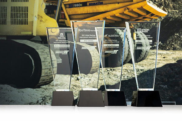 13th Annual Business Improvement Award - Trophies