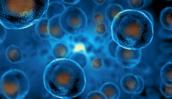 Blue cells with orange centers float on a blue background. 