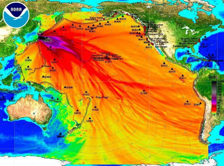 This Shocking Report From Fukushima Will Leave Your Jaw On The Floor