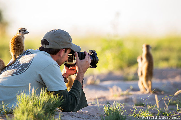 Les photographes animaliers... les animaux sentent leur bienveillance Nature-photographers-45__700