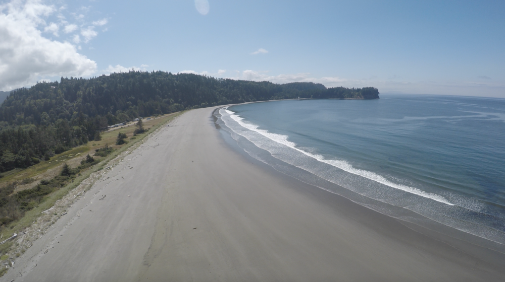 Crescent Beach Surfing destinations, Beach, Park forest