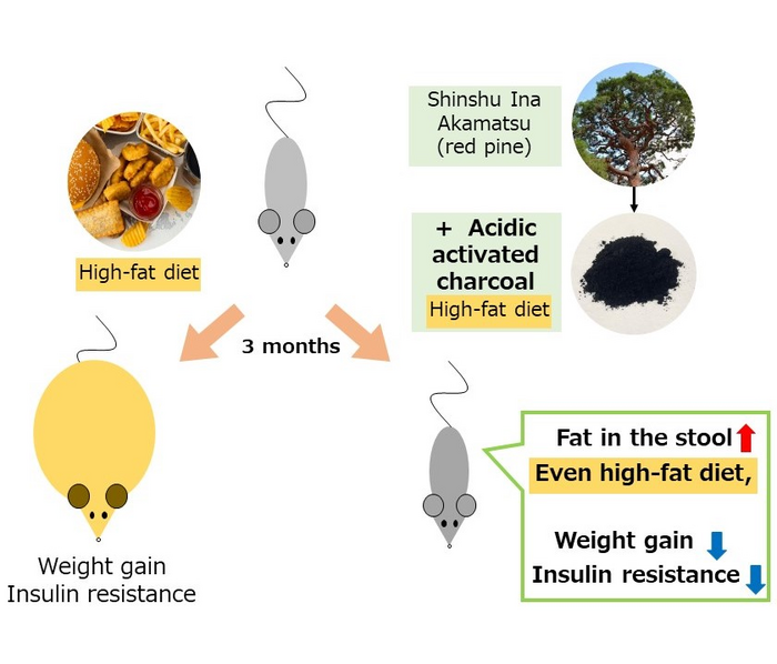 Graphical Abstract