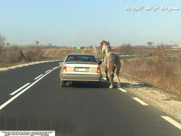 صور طريفه وغريبه